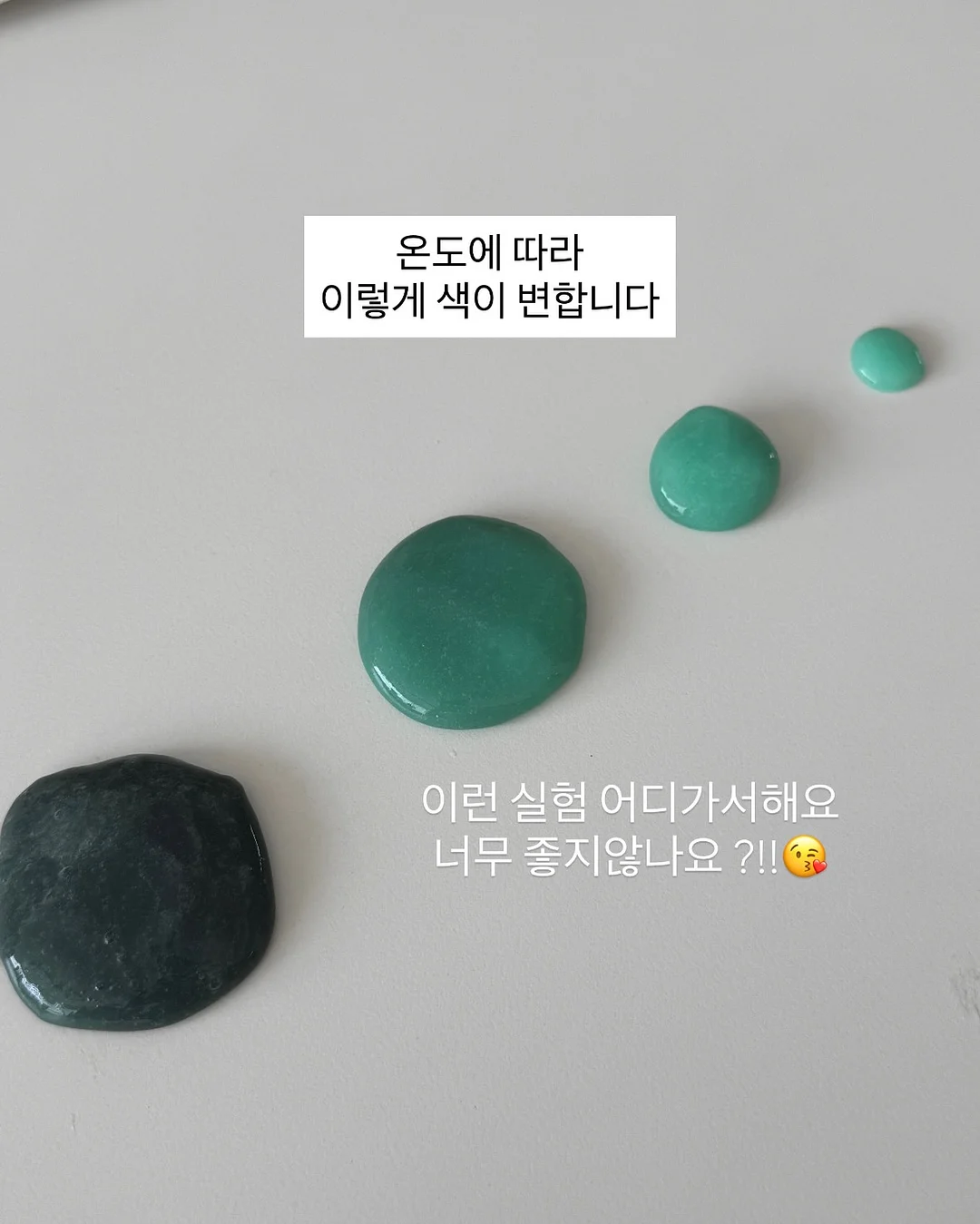 안심 뱃지 11