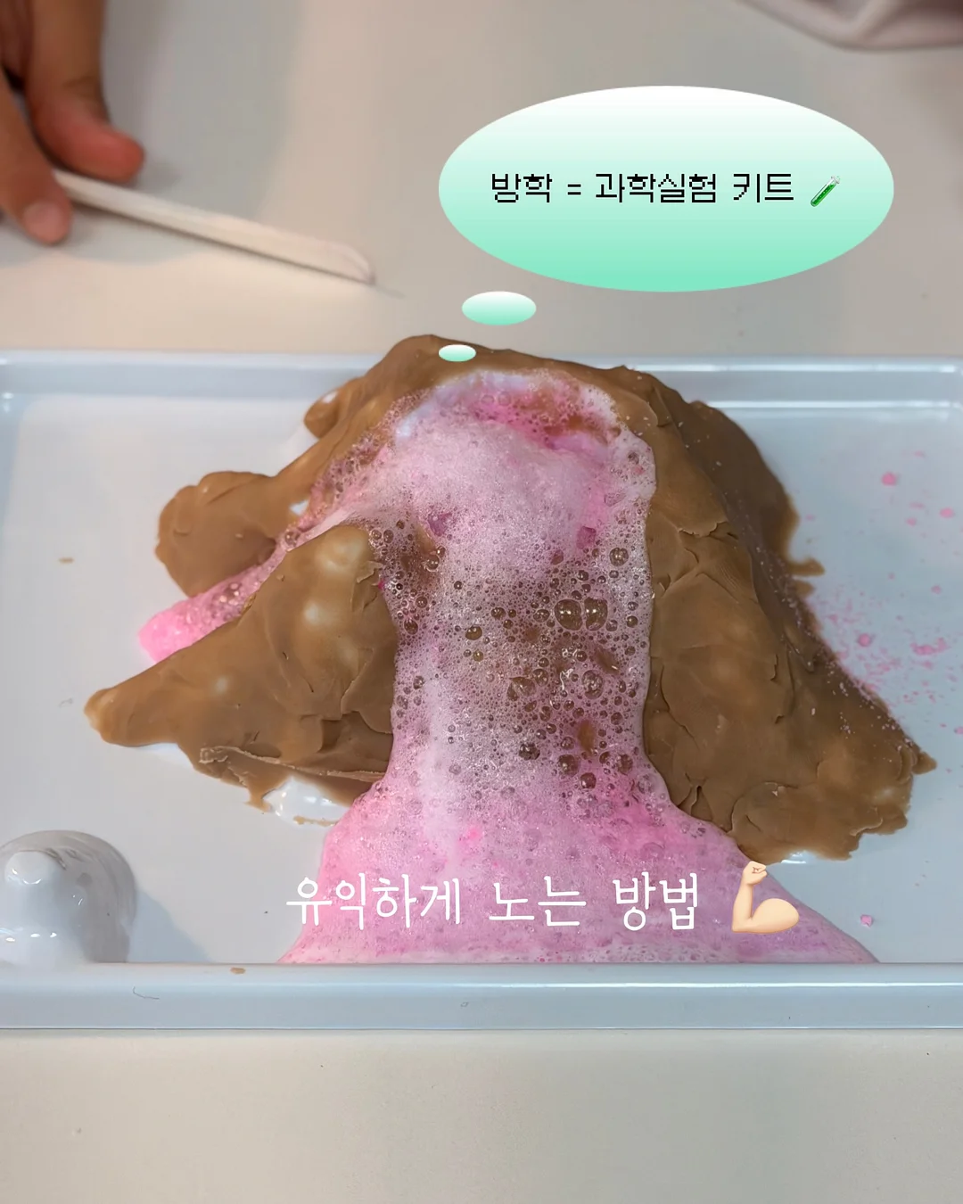 안심 뱃지 12