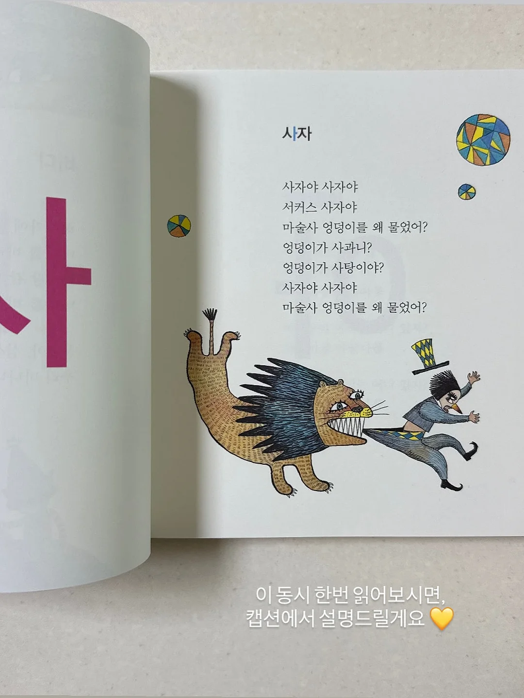 릴리세트 7