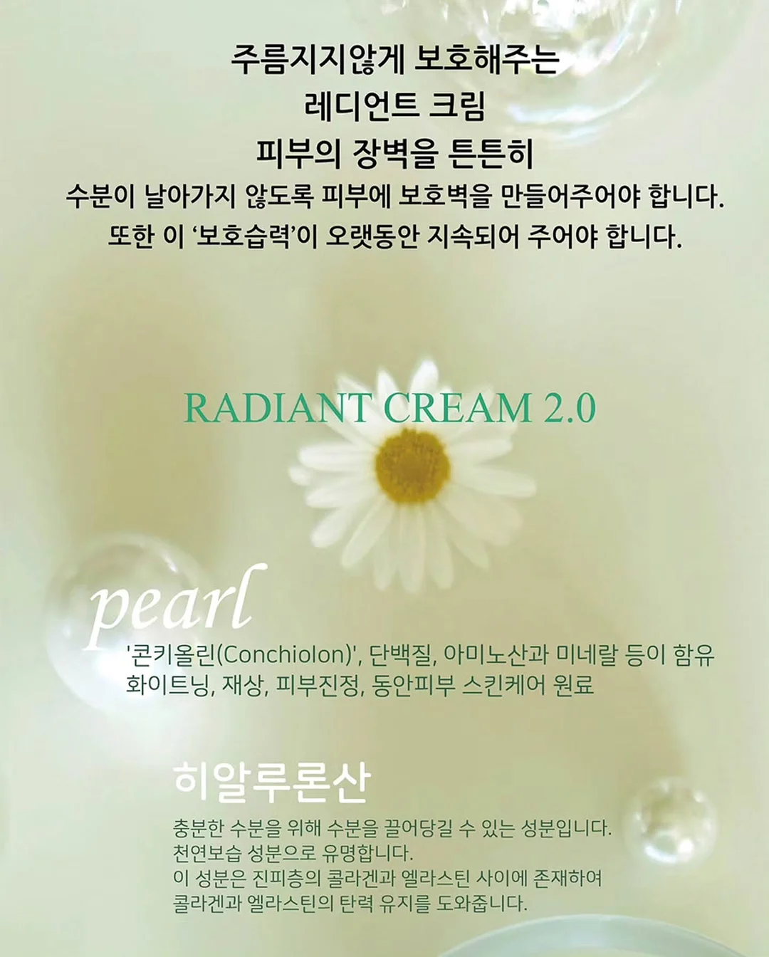 쇼펜하우어 인생수업 11