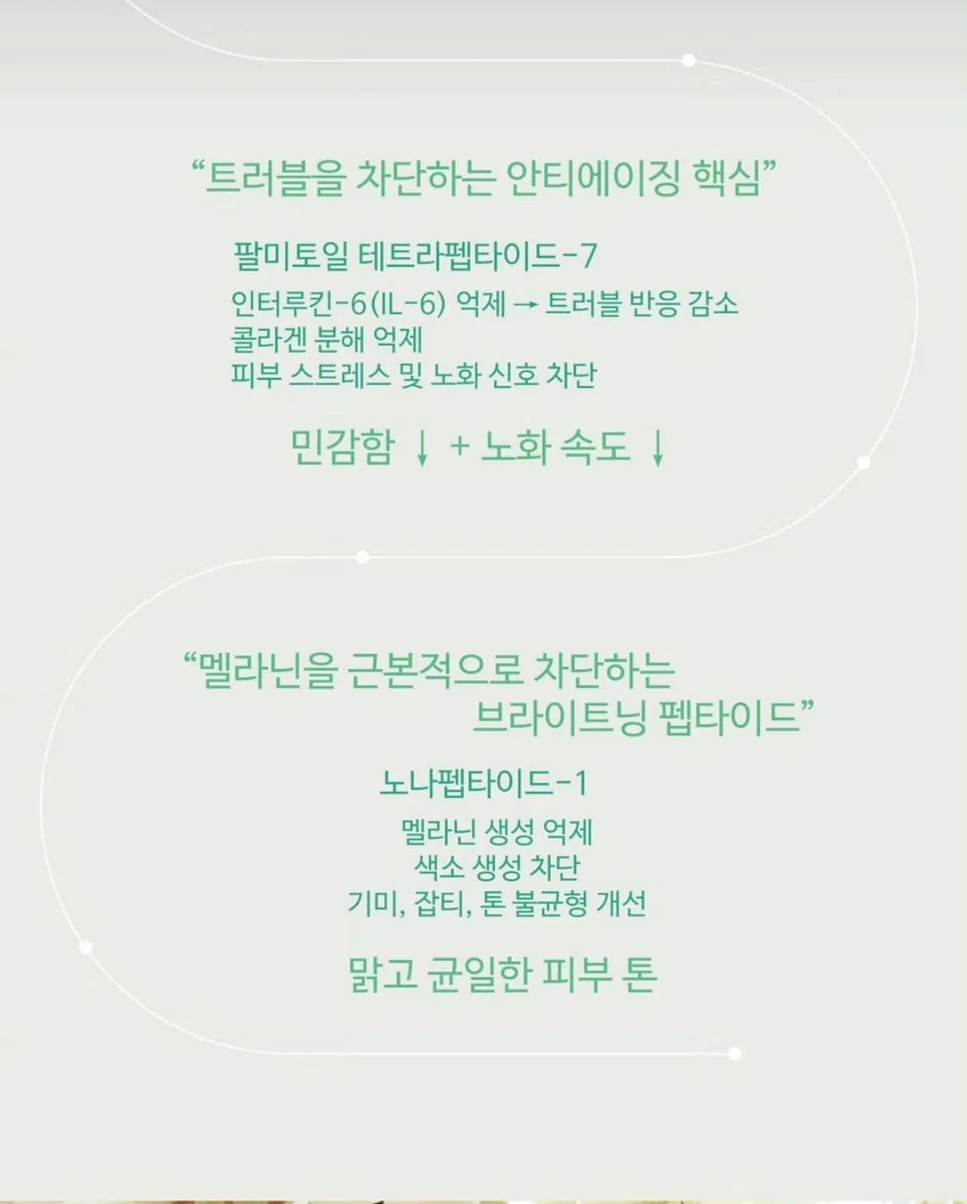 쇼펜하우어 인생수업 9