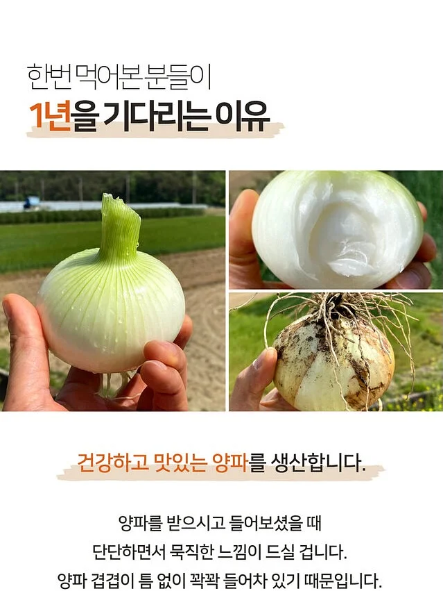 풍성형 화병케이크 12