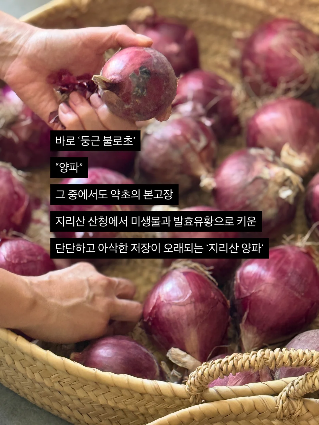 풍성형 화병케이크 3