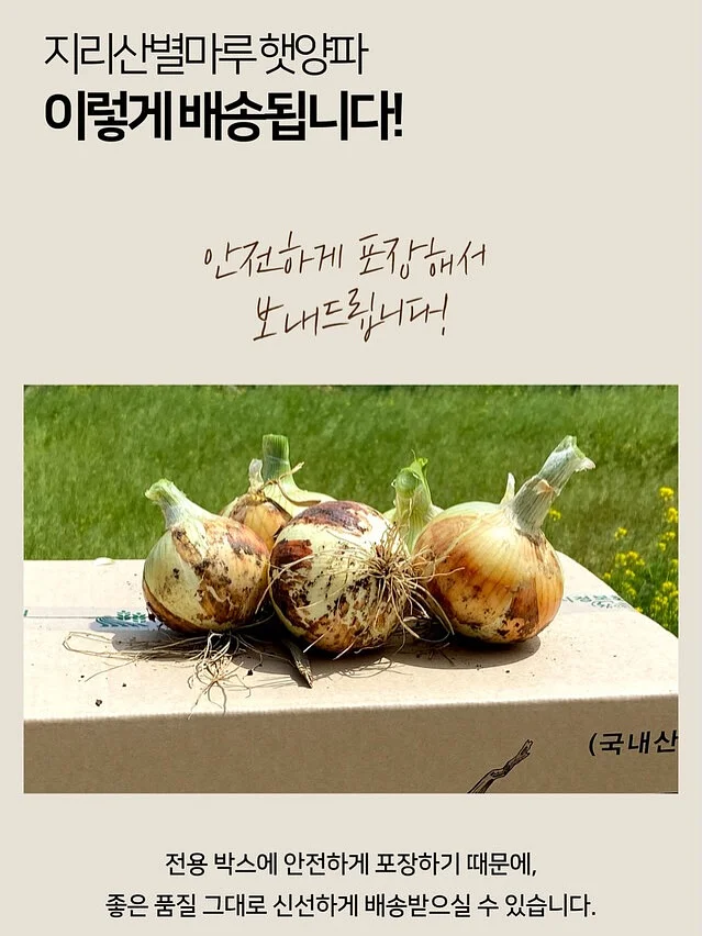 풍성형 화병케이크 9