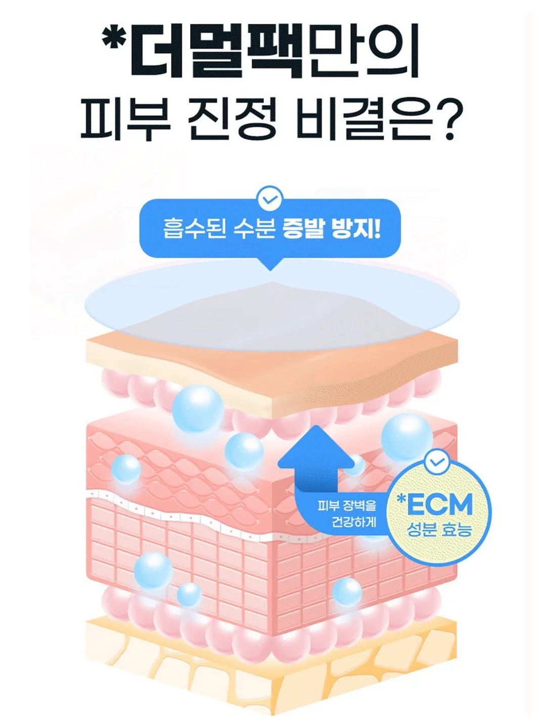 만월무드 웨딩 스냅 5
