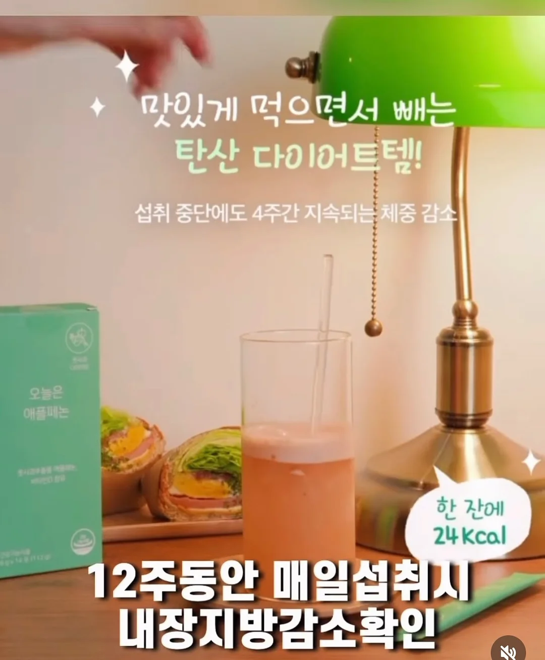 야시카 GX 카메라 2