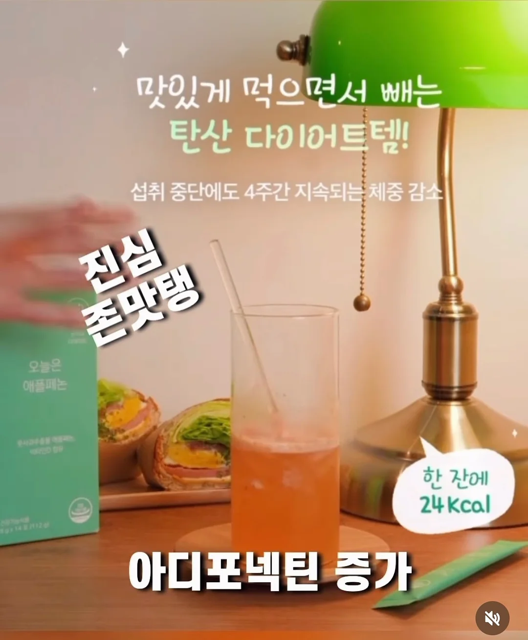 야시카 GX 카메라 4