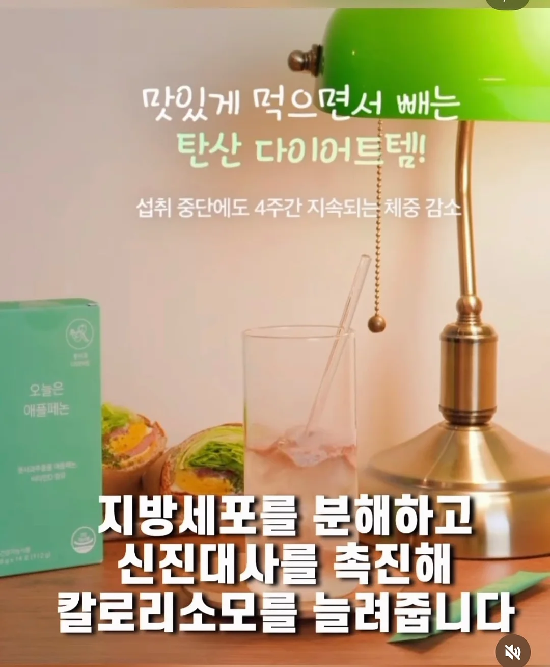 야시카 GX 카메라 5