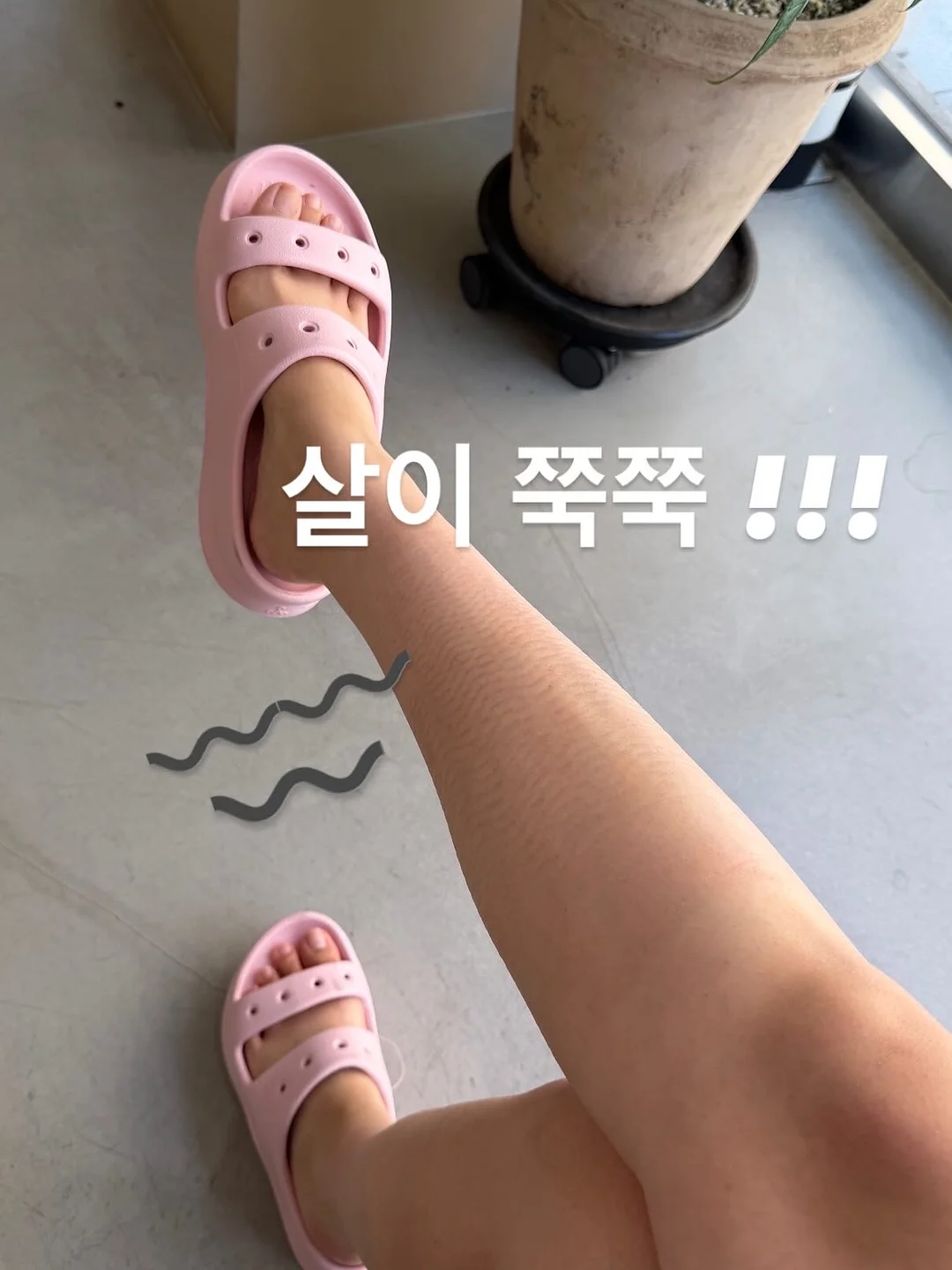 황치즈버터쿠키 19