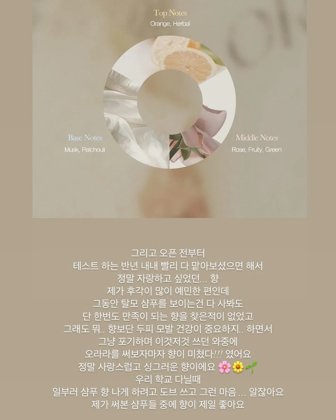 라미엘 소파 12