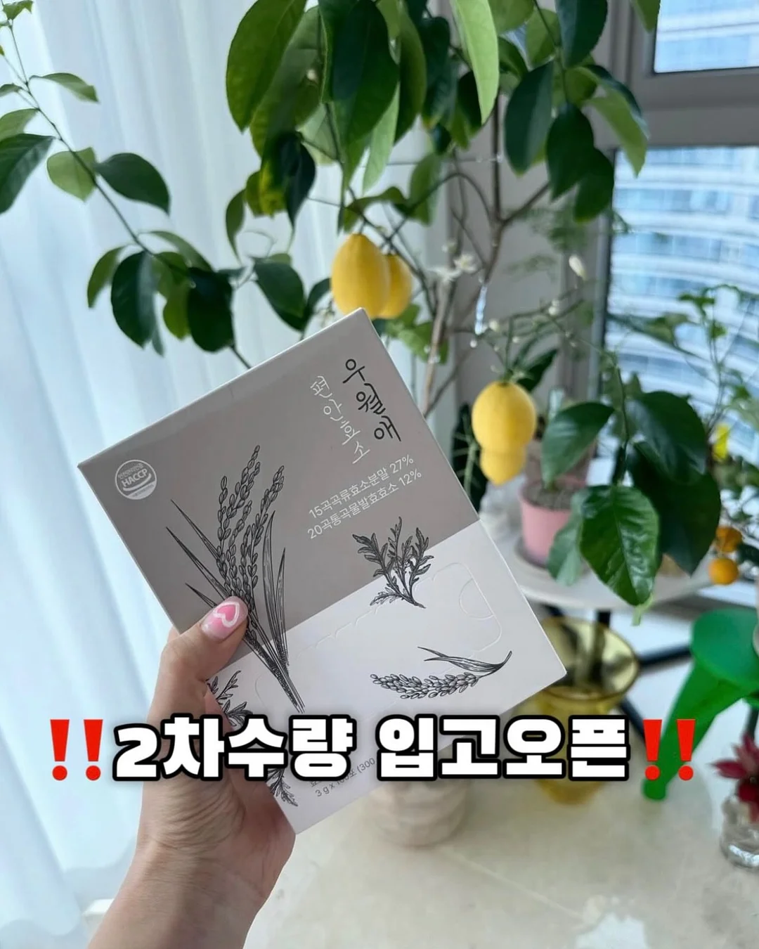 살림템 2
