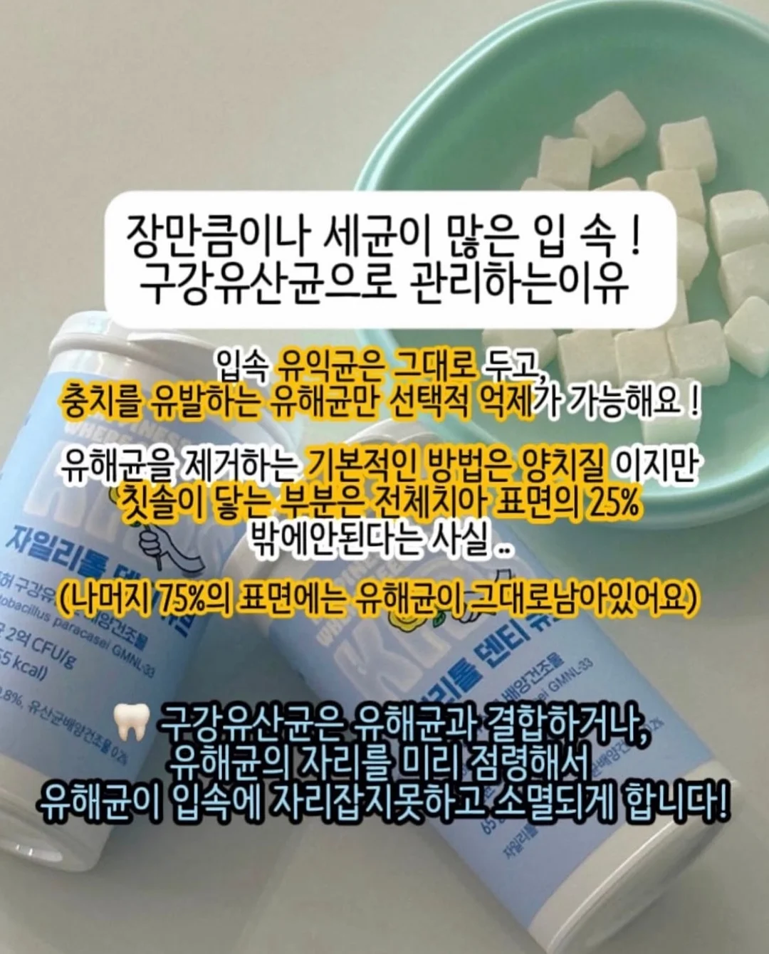 딸기 프린트 티셔츠 6