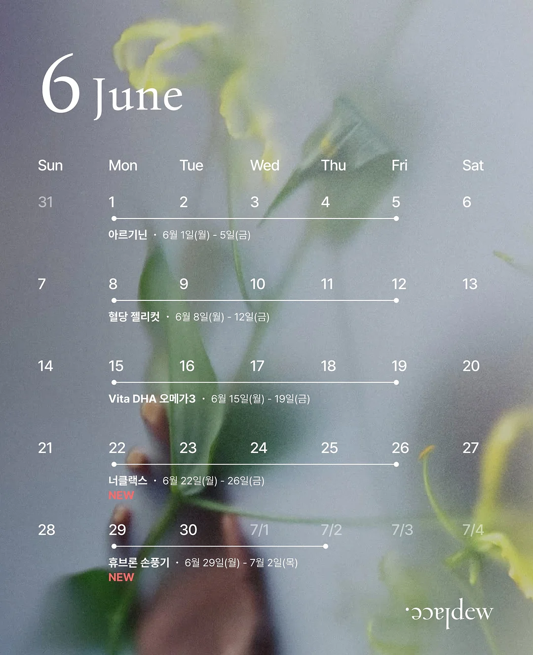 리본 땡땡이 1