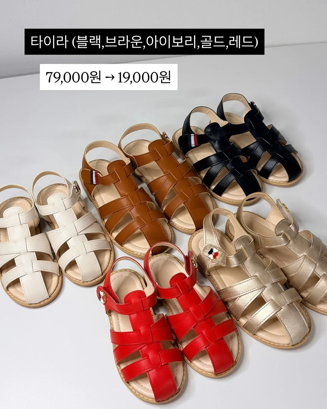 에코너 무선 빗고데기 12