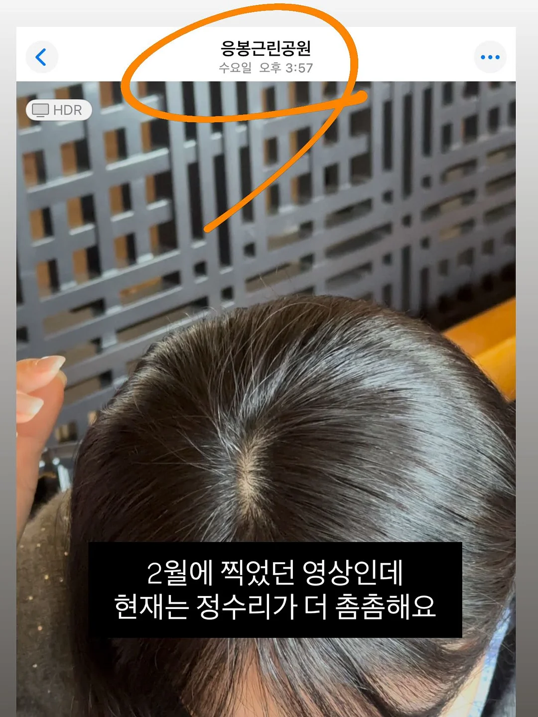슈퍼세이브 곰보배추시럽 3