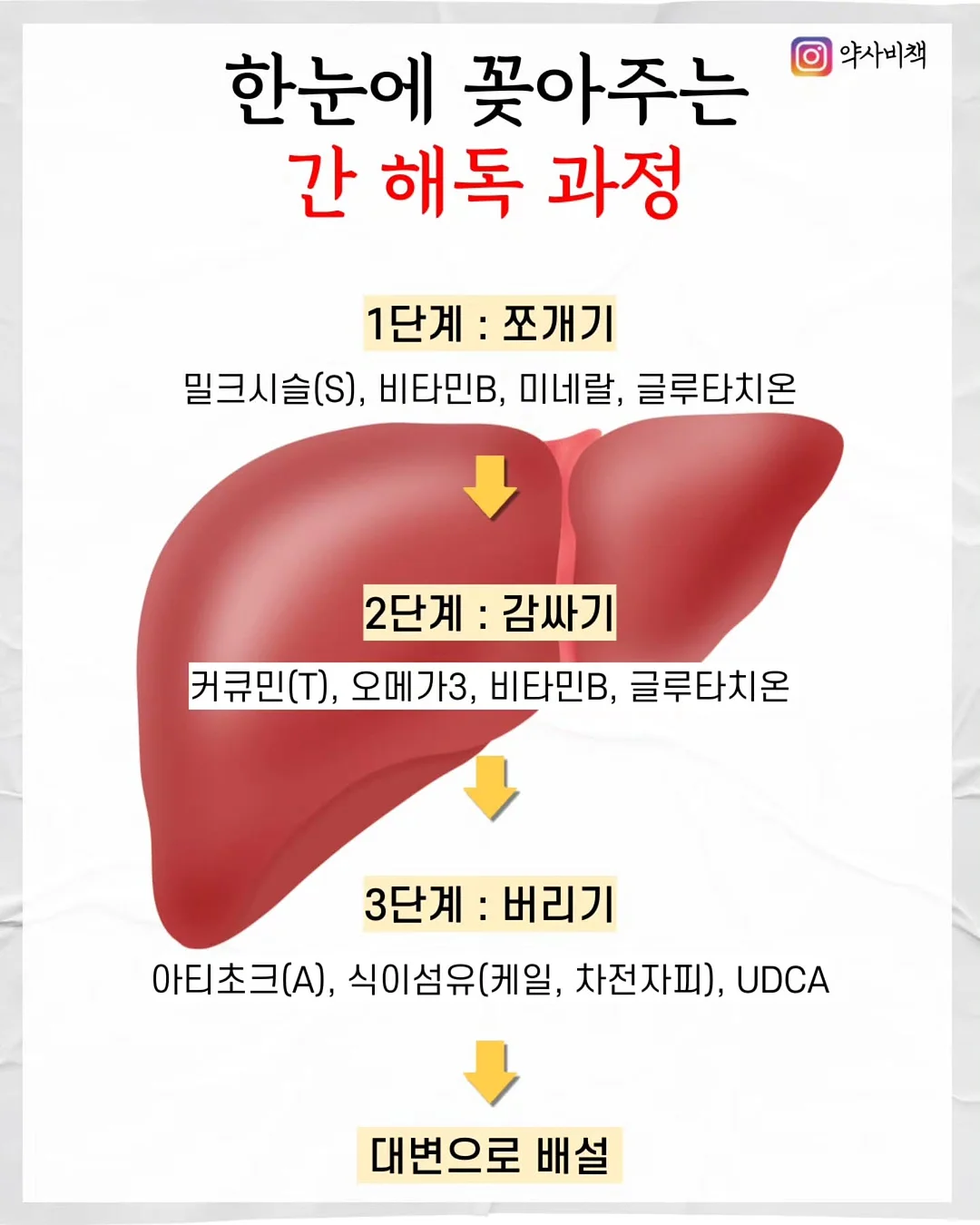 밴드 운동 2