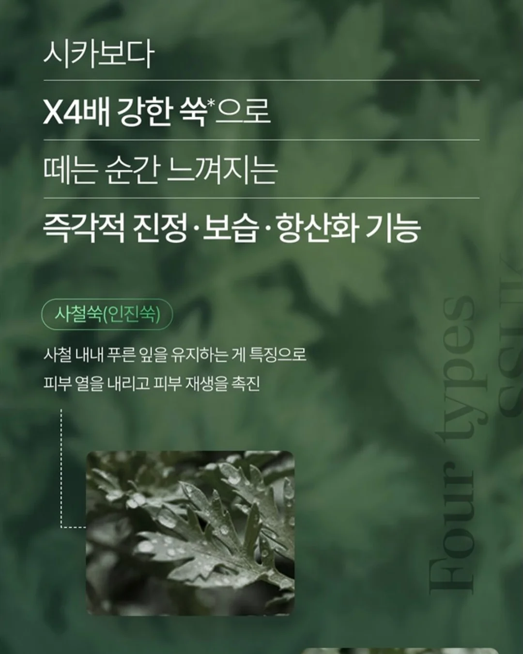 고양이 발자국 장화 16