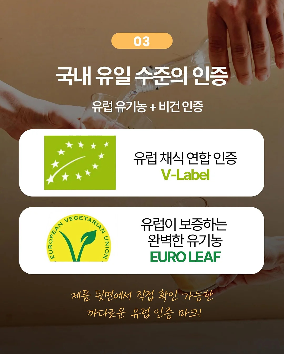 올리브 참치 5