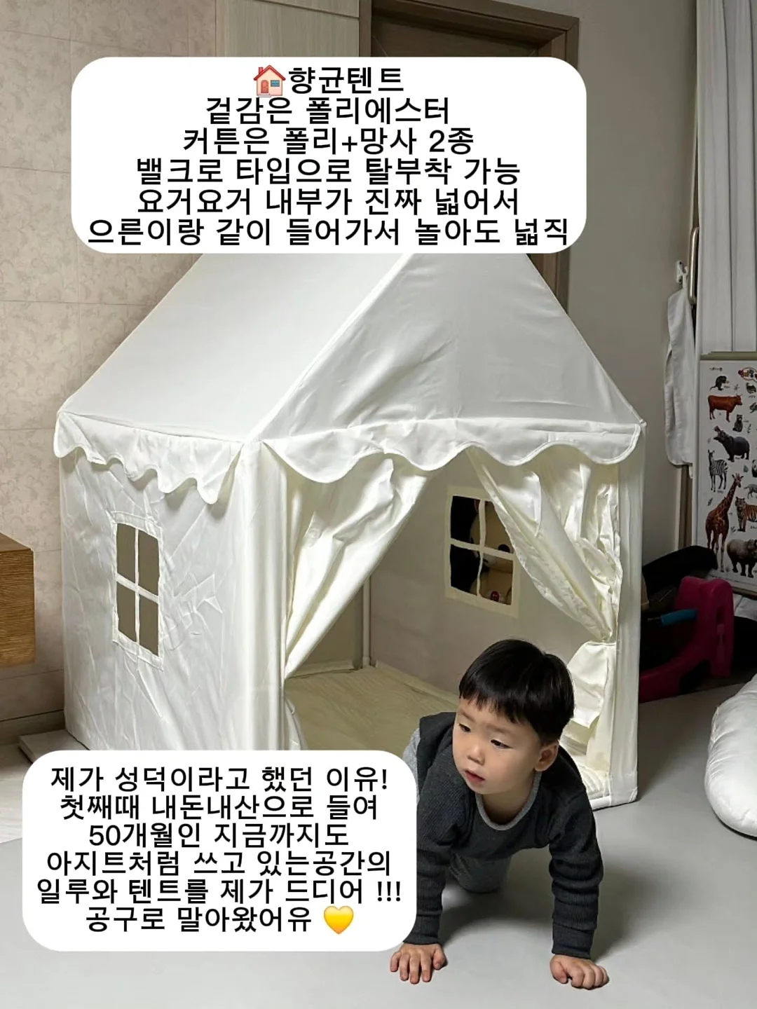 태글파라솔 2