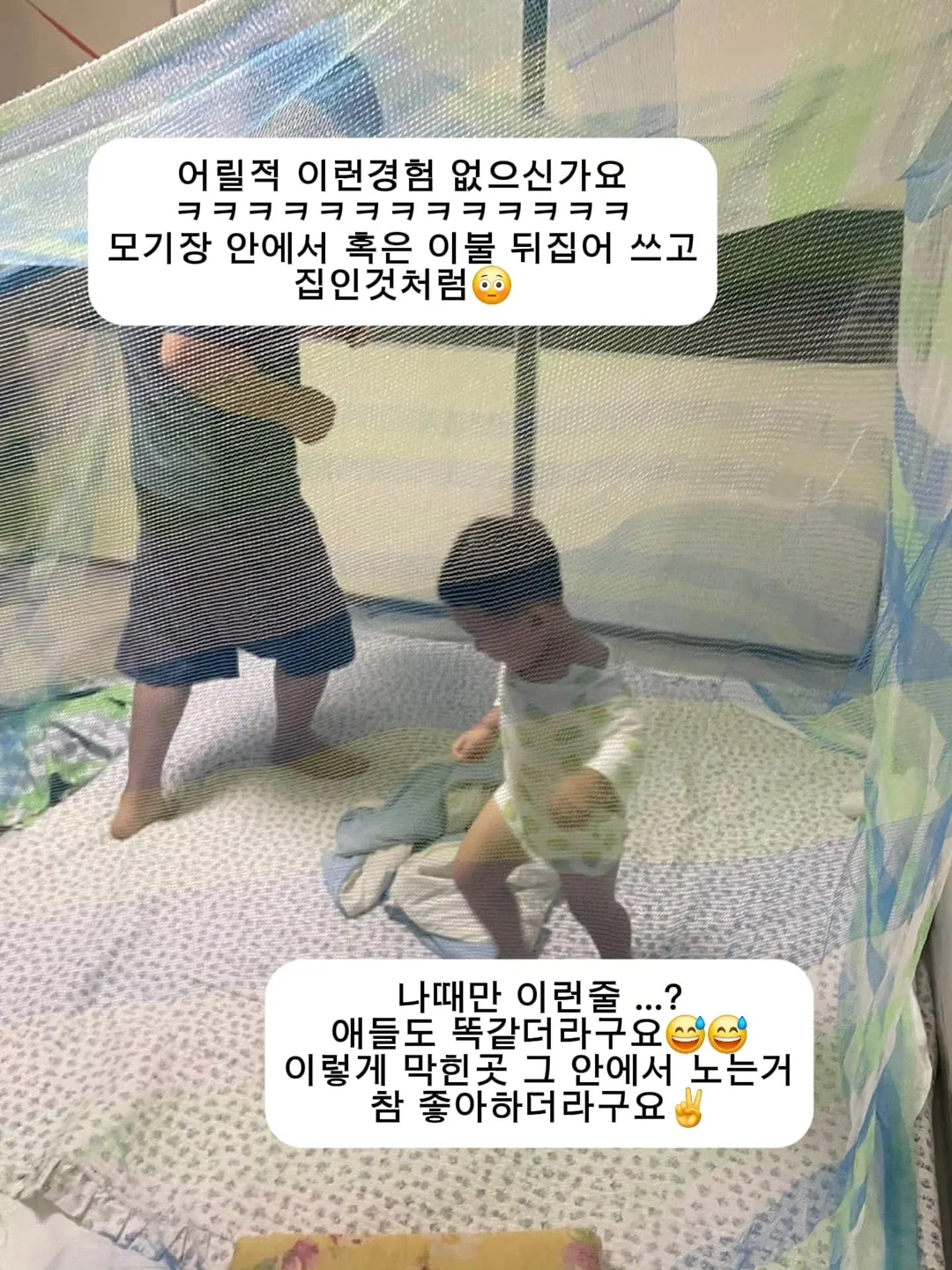 태글파라솔 6