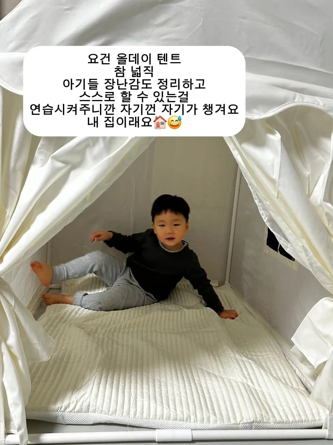 태글파라솔 7