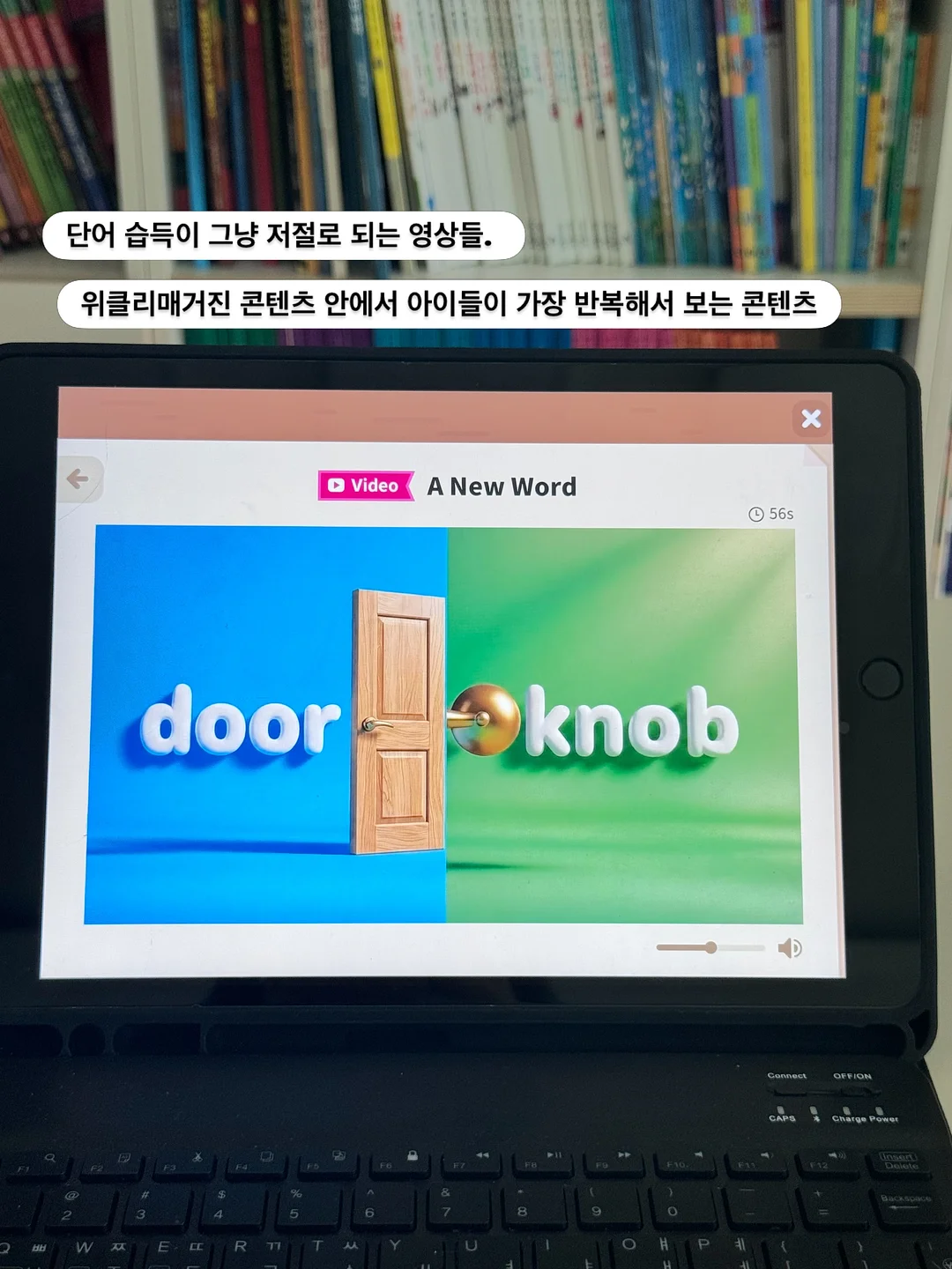 조랑셔츠 6
