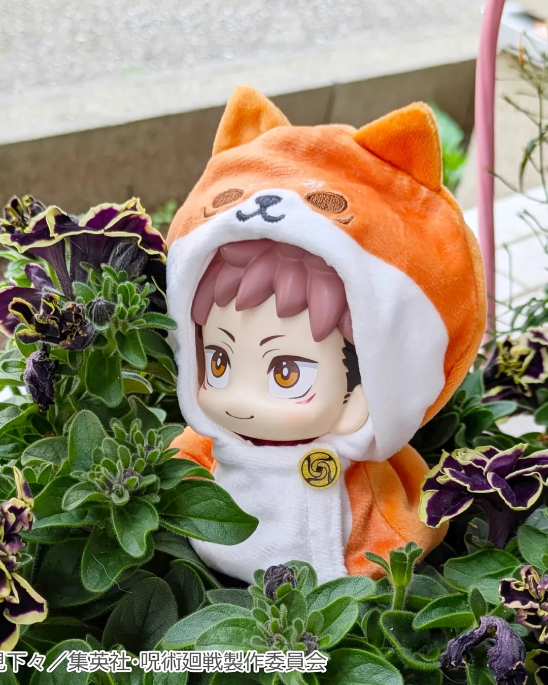 물티슈 6