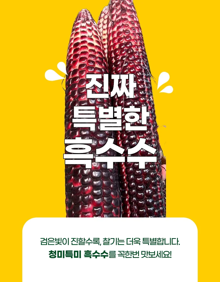 꽃 심폐소생술 황금 비율 1