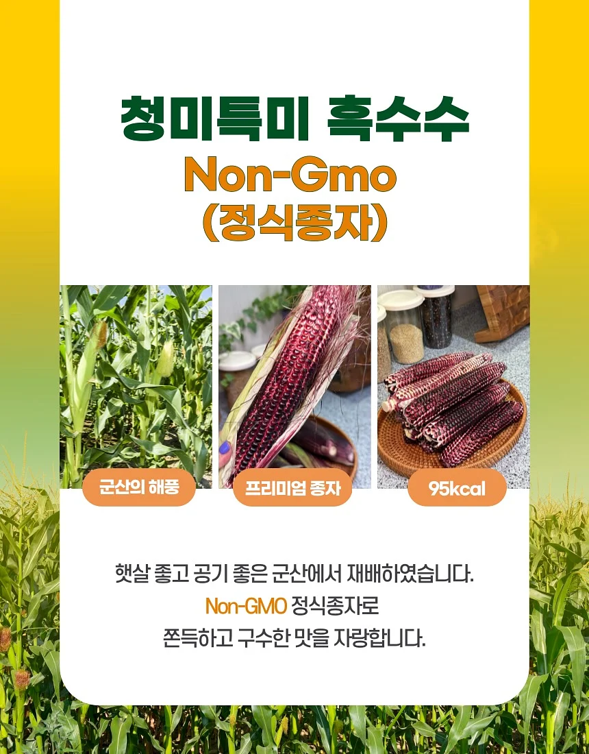 꽃 심폐소생술 황금 비율 2