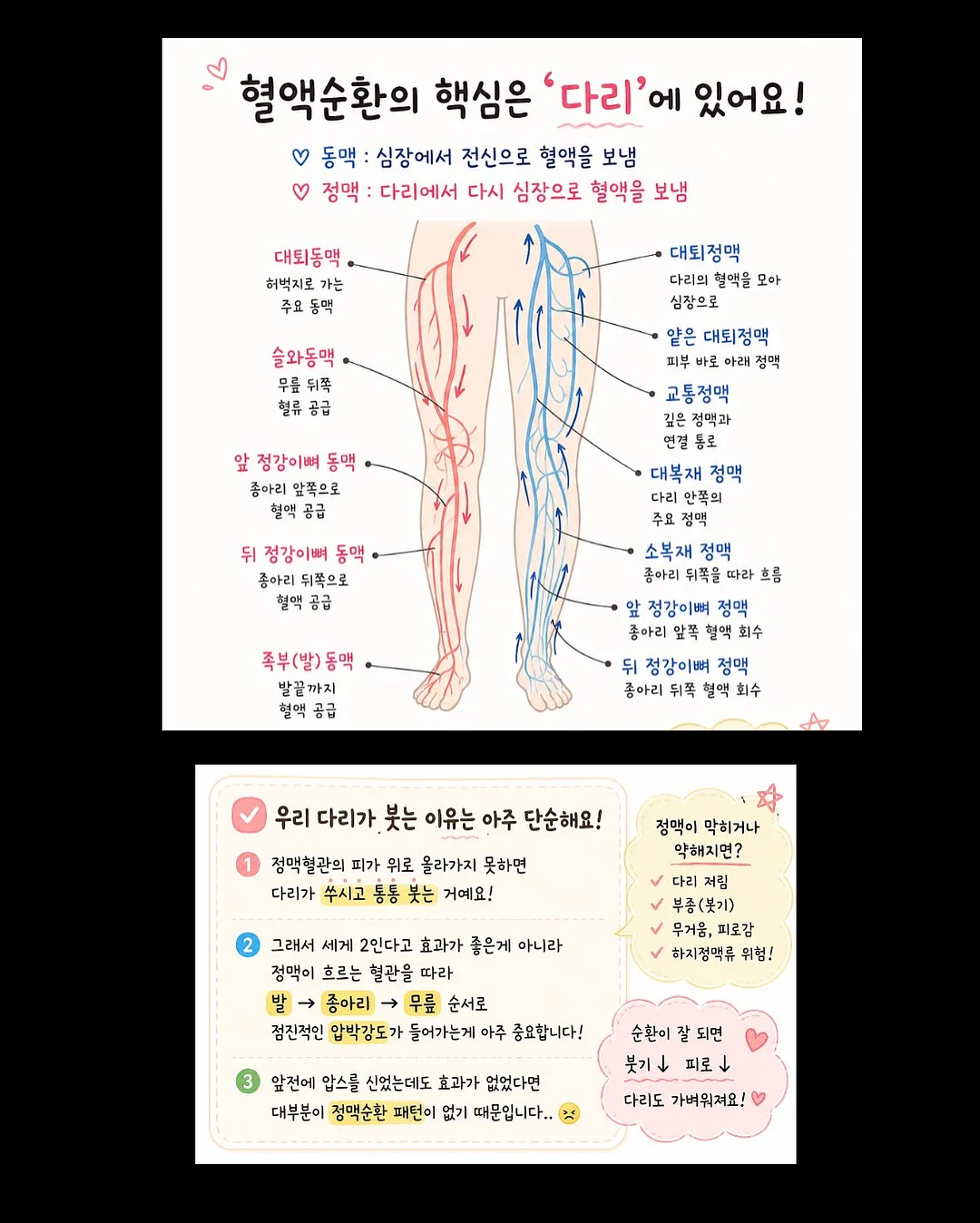 선글라스 물안경 2