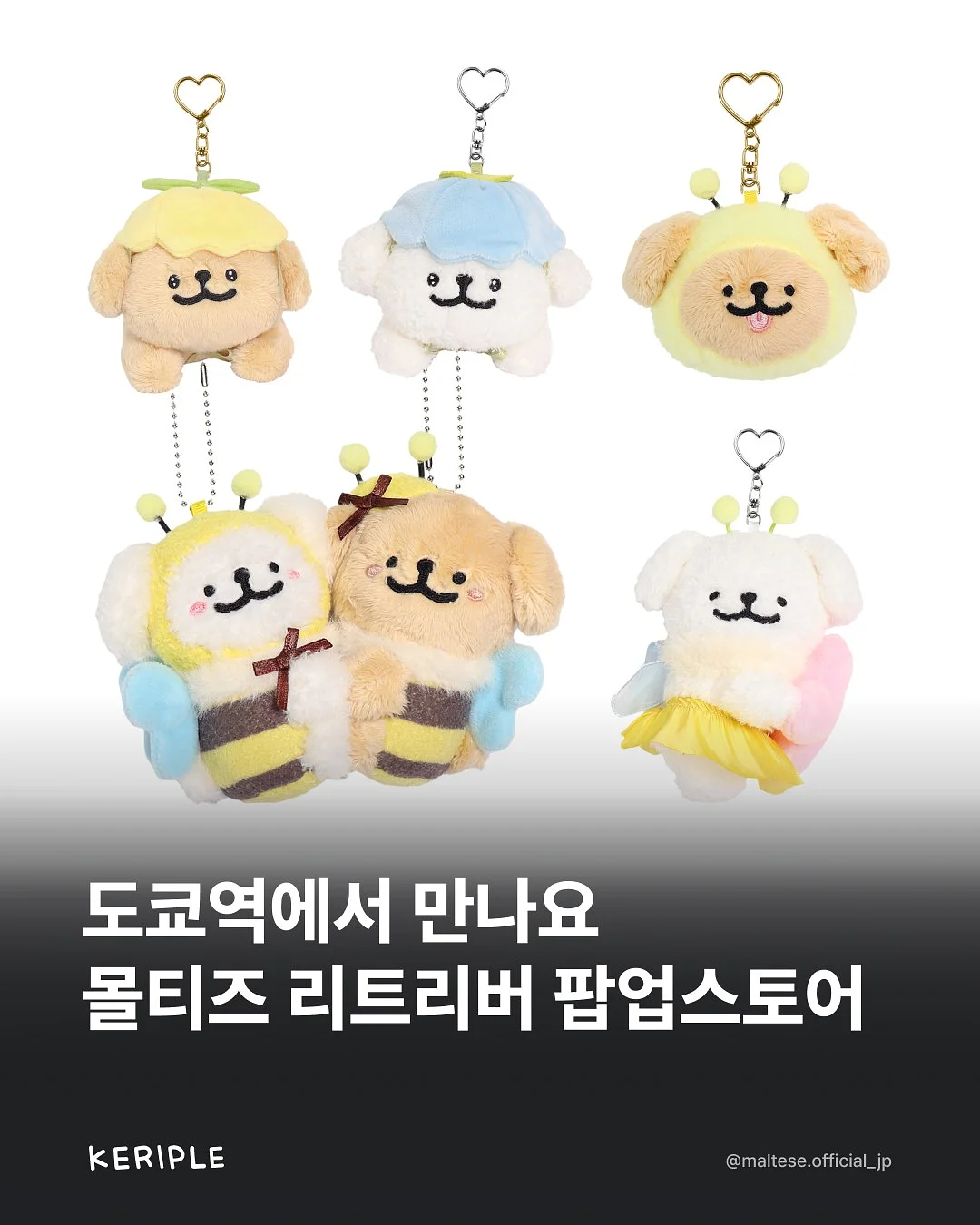 프로메가 오메가3 1
