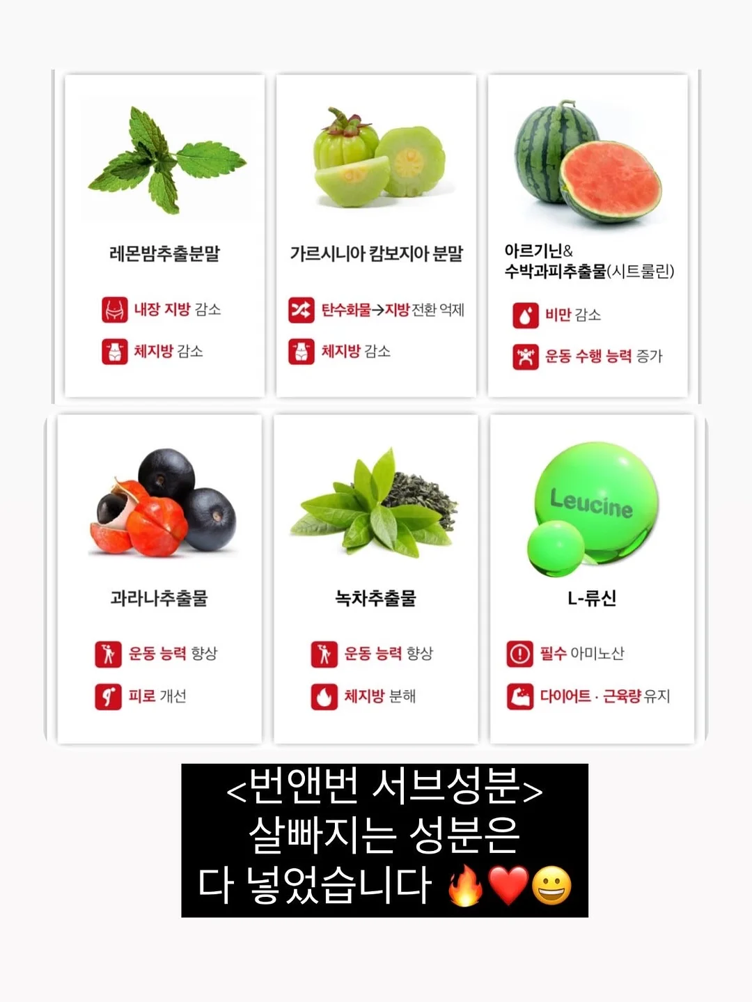 올라잇그린 신규맛 애플 블라스트맛 13
