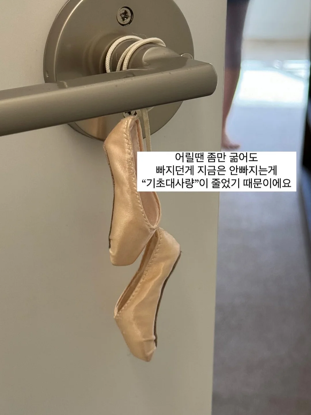 올라잇그린 신규맛 애플 블라스트맛 6