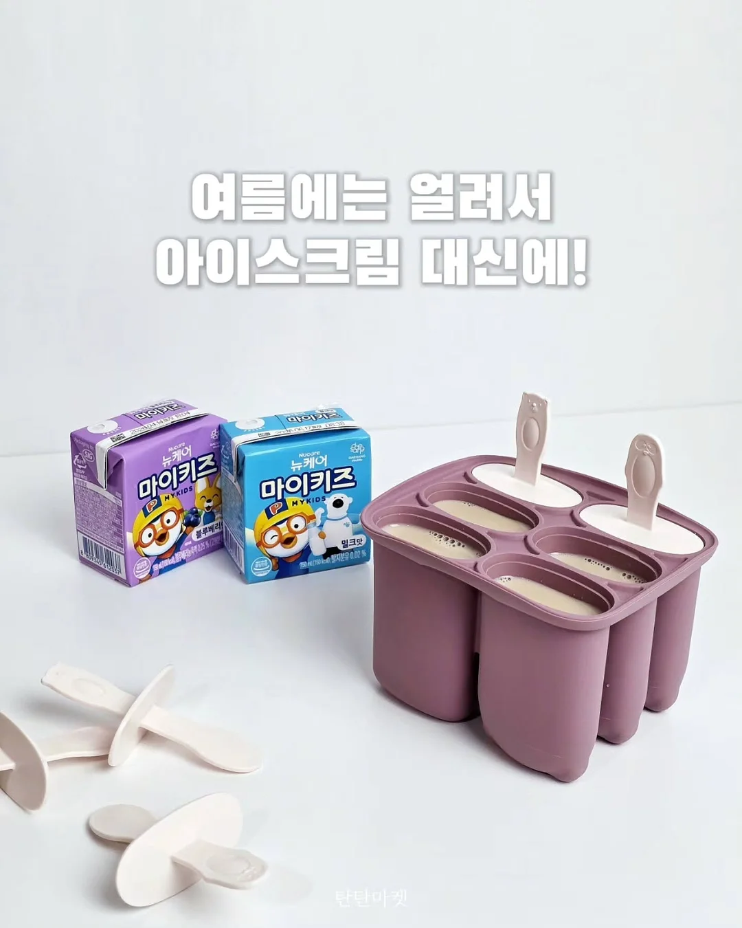 완도 해양치유 프로그램 13