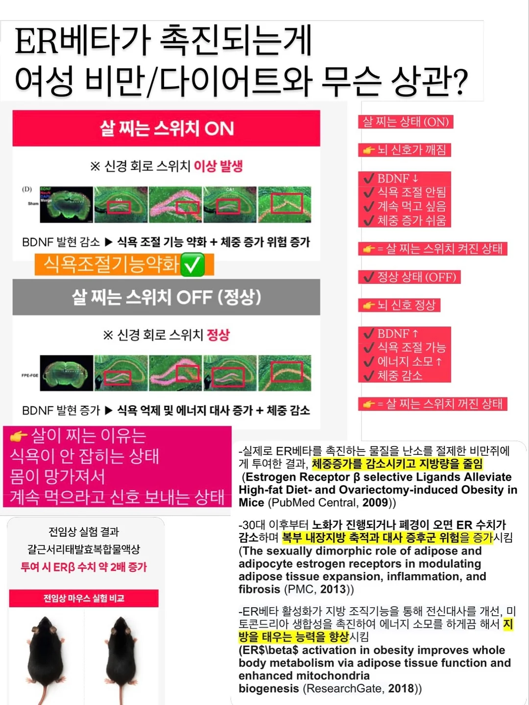 사료 후원 13