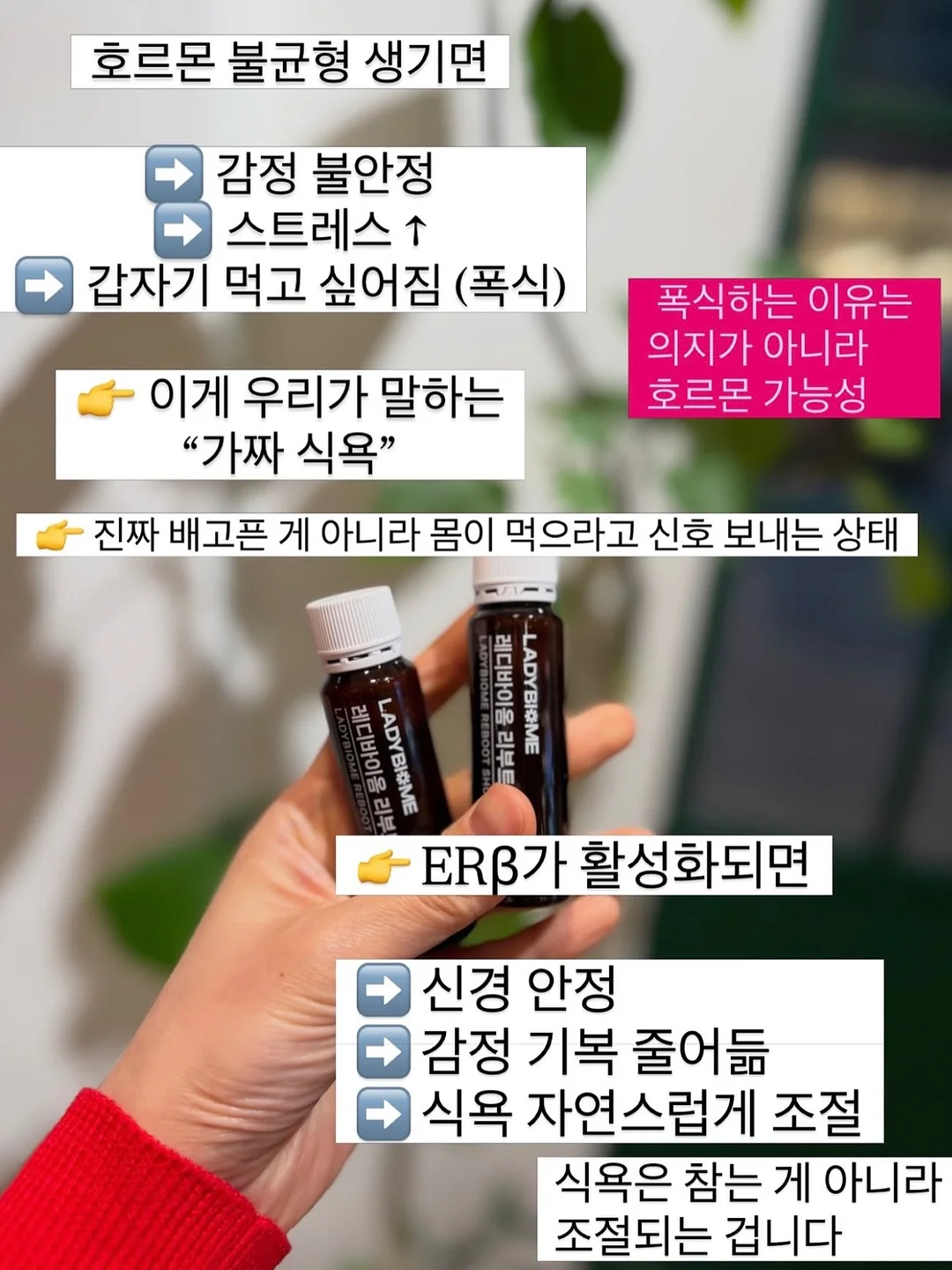 사료 후원 15