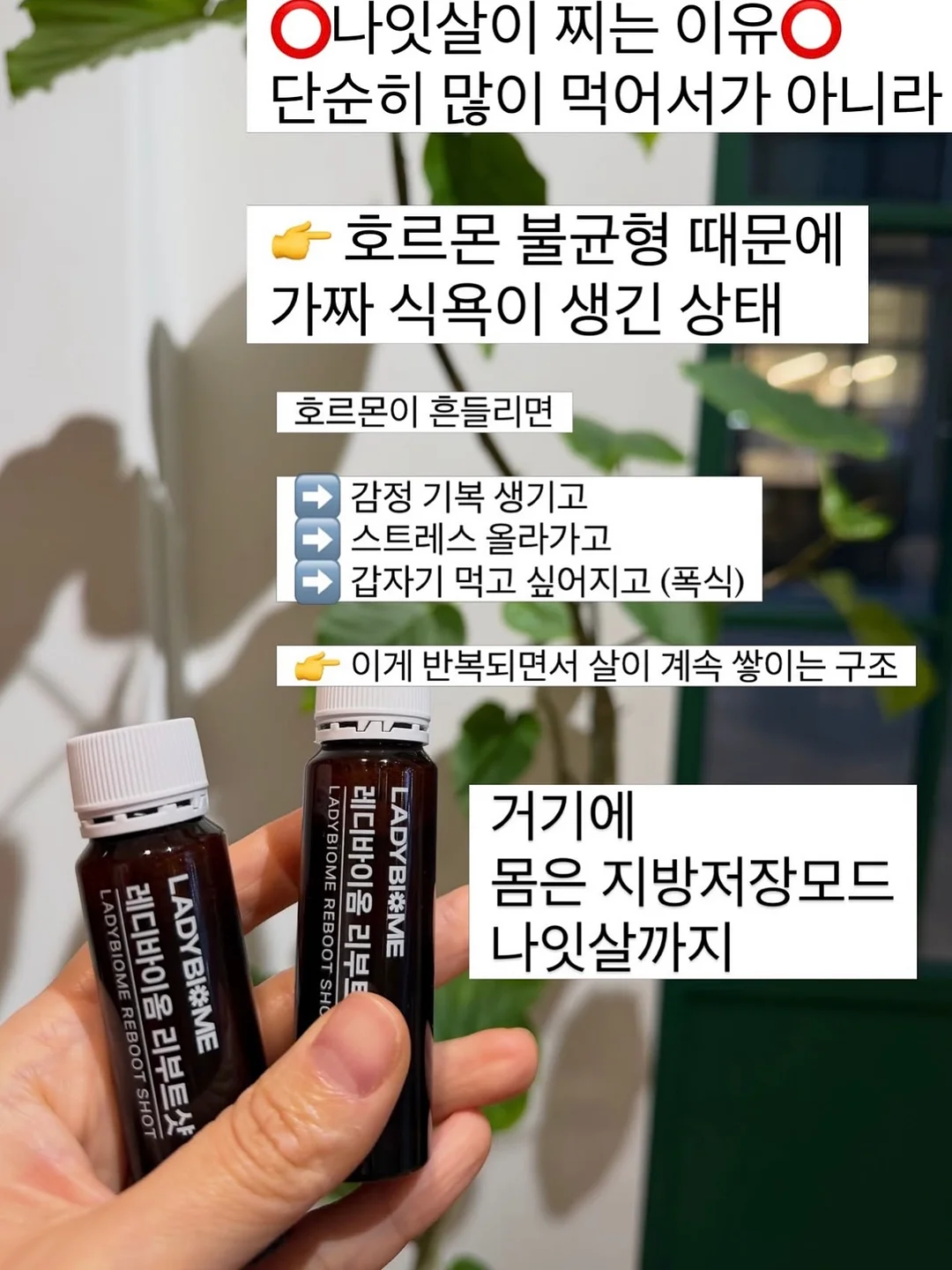 사료 후원 16