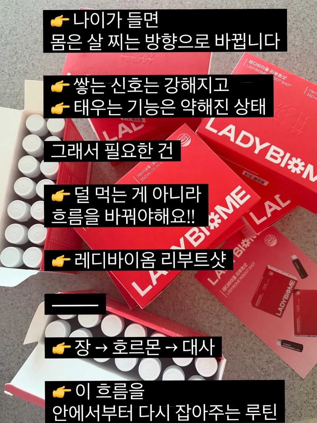 사료 후원 17