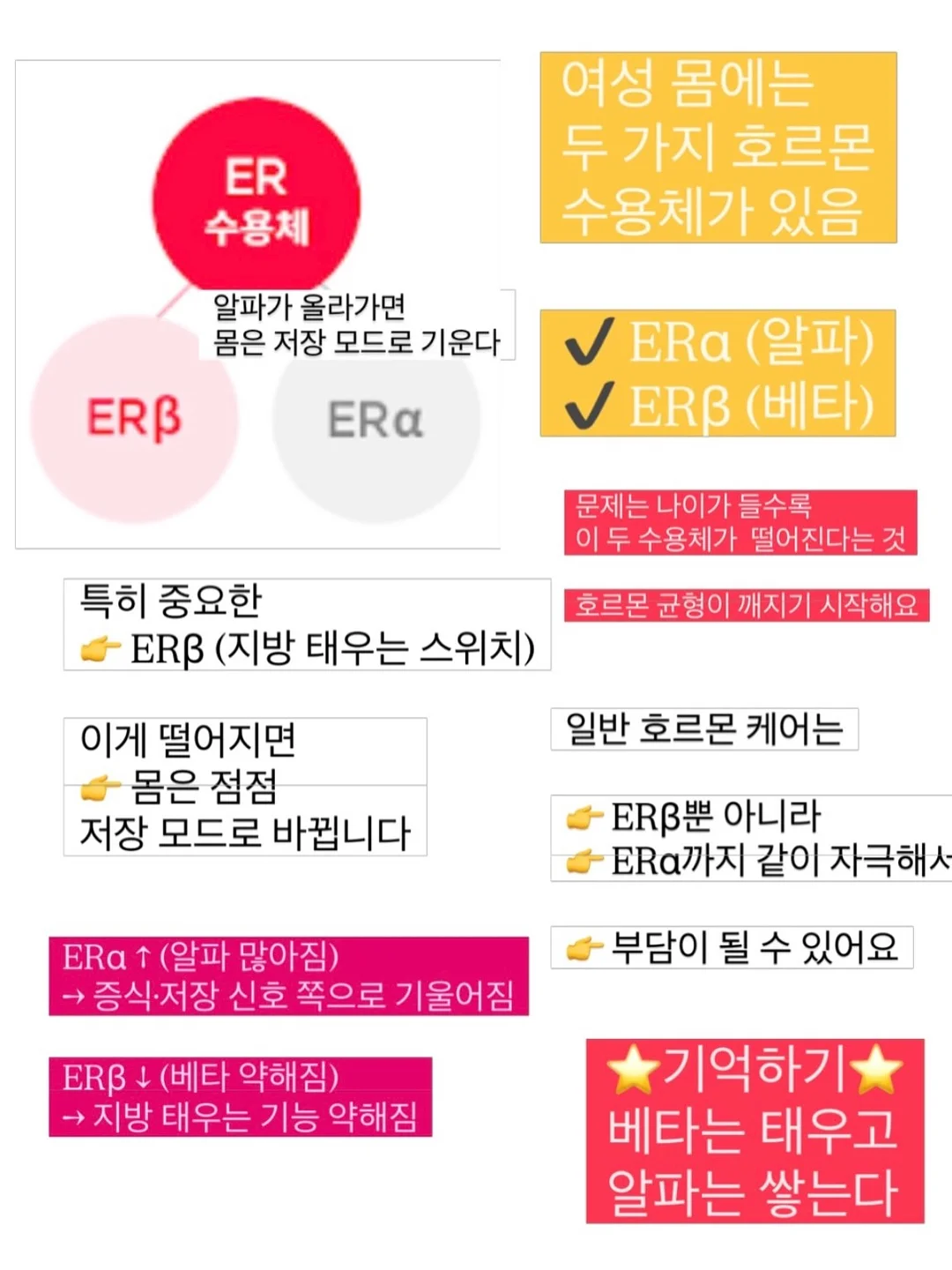 사료 후원 6