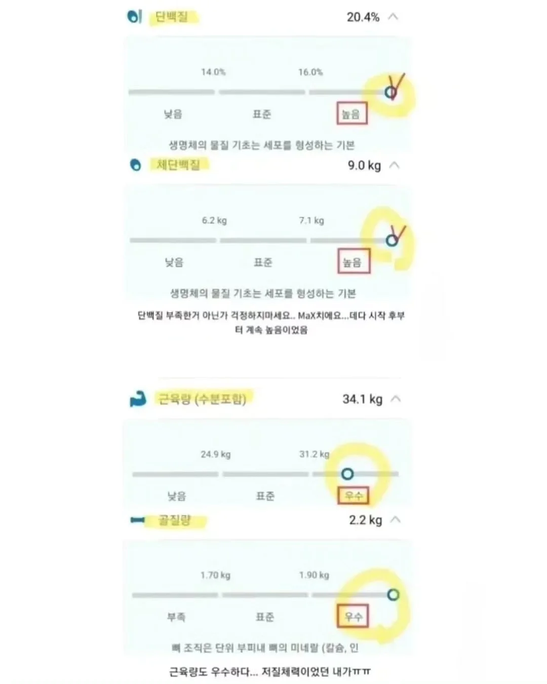 초하 살구 5