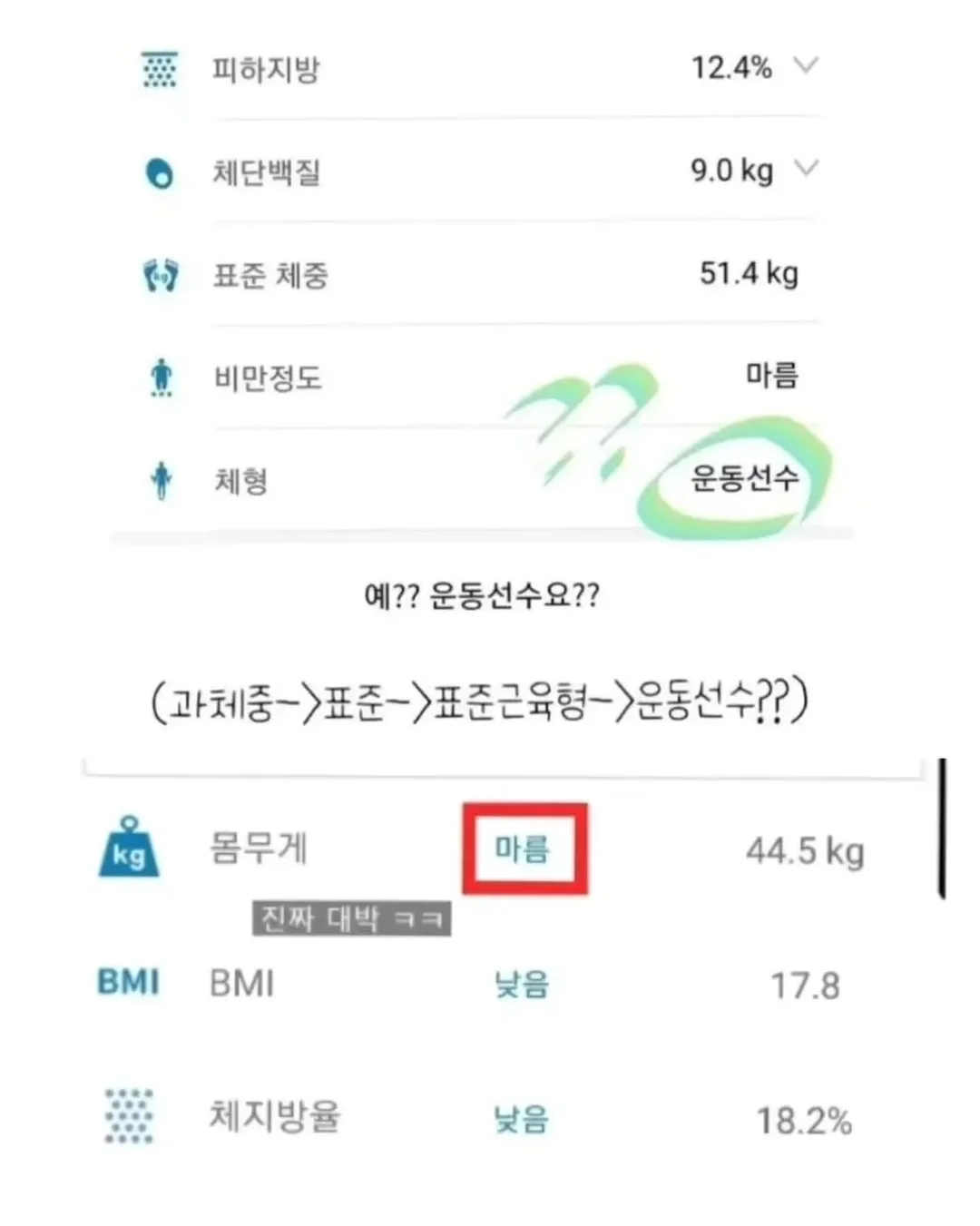 초하 살구 6