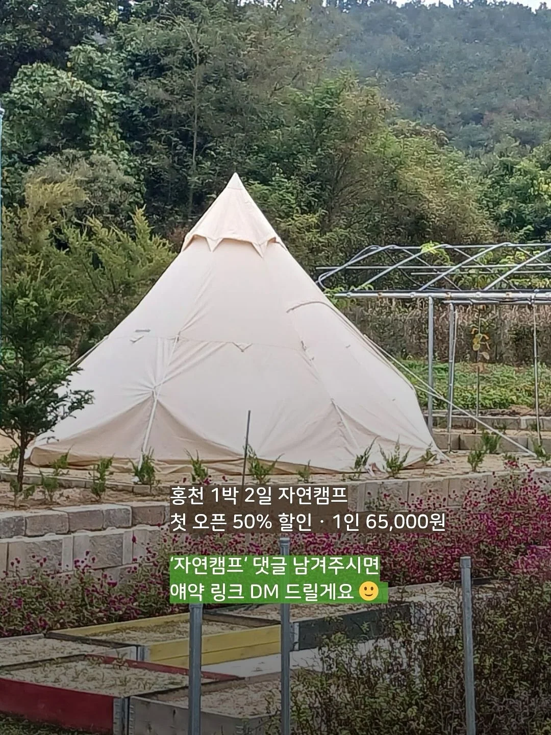 산리오 모기 퇴치 팔찌 12