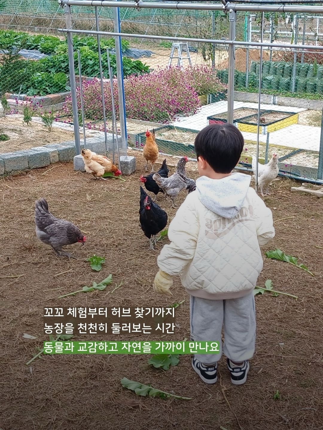 산리오 모기 퇴치 팔찌 5