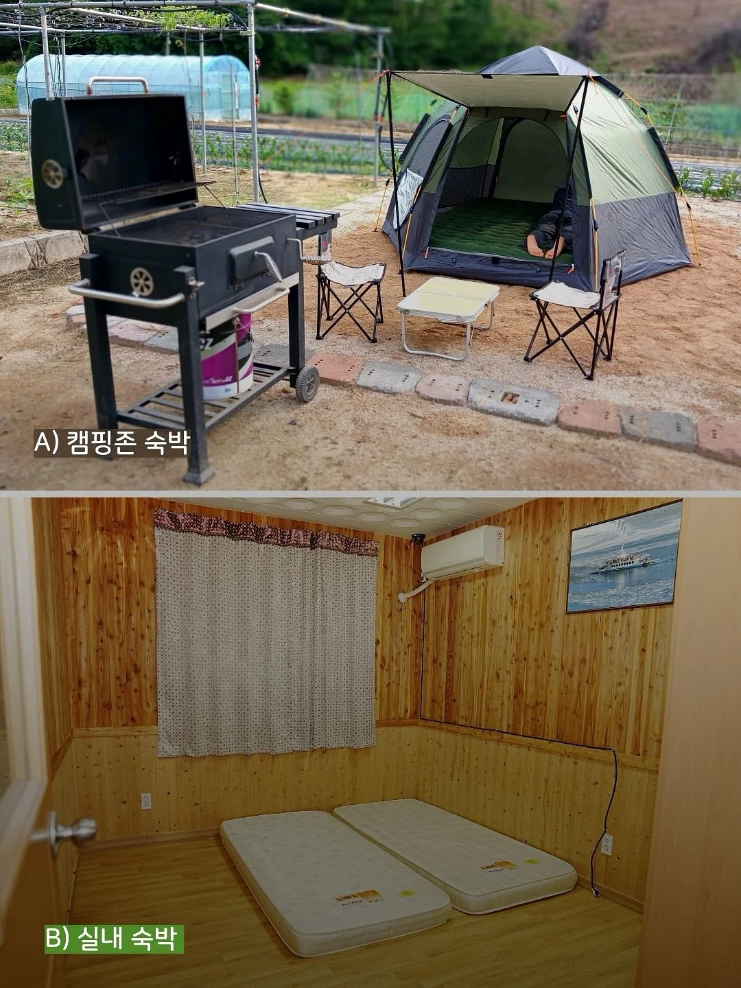 산리오 모기 퇴치 팔찌 8