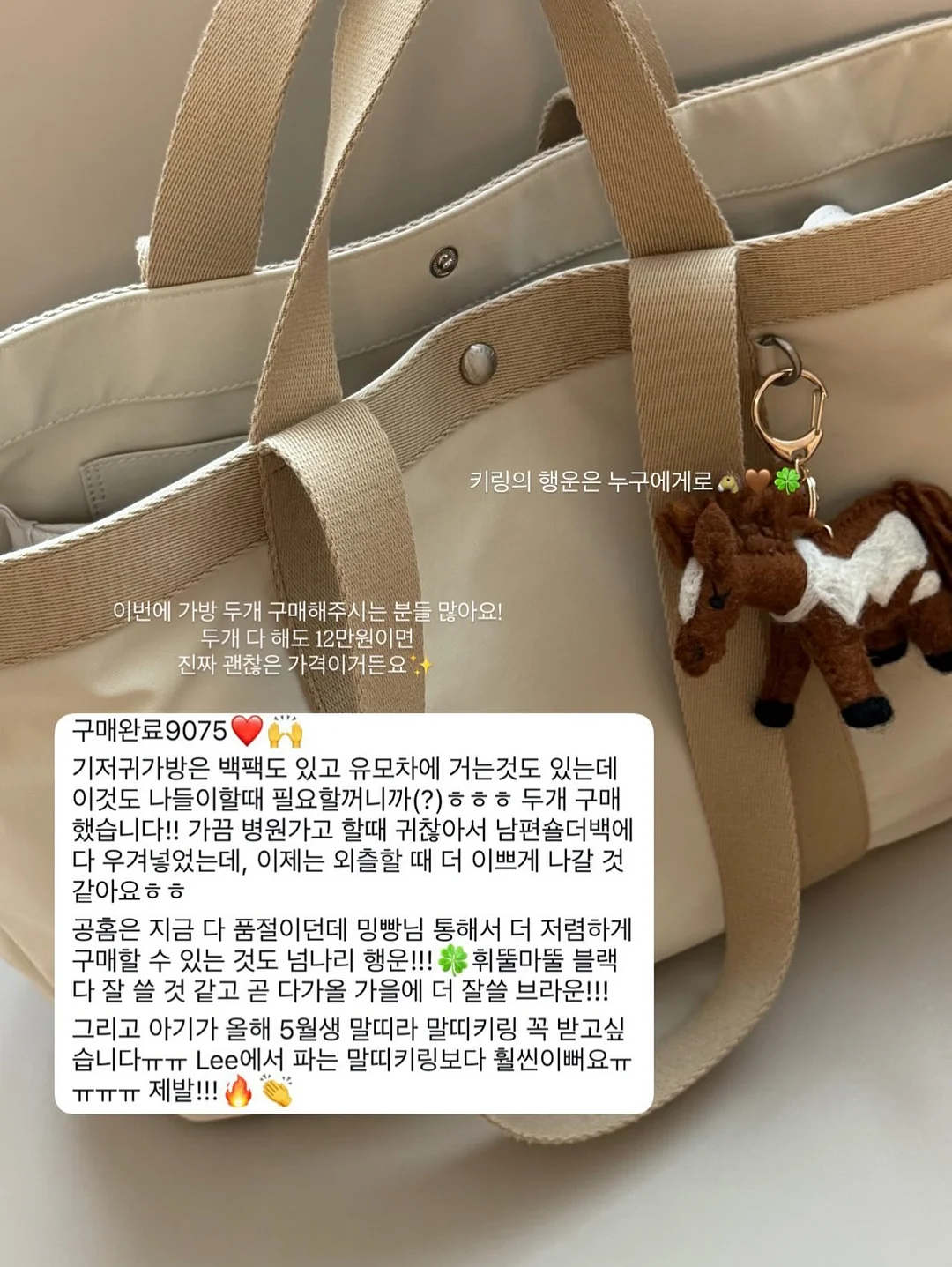 Dr.테디베어 14