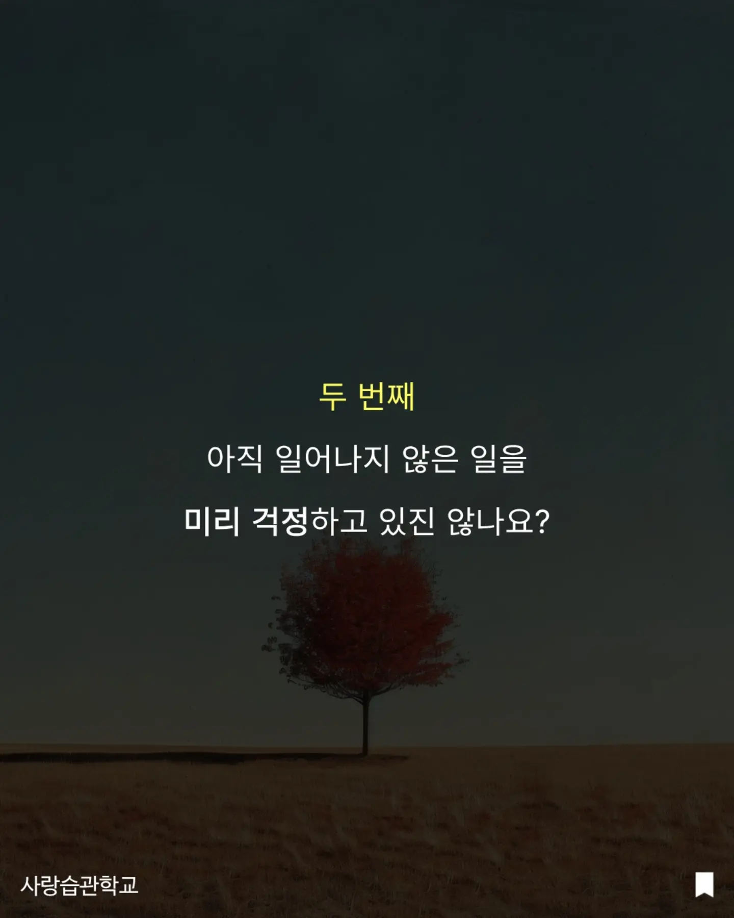 온도티 + 도뜨스커트 5