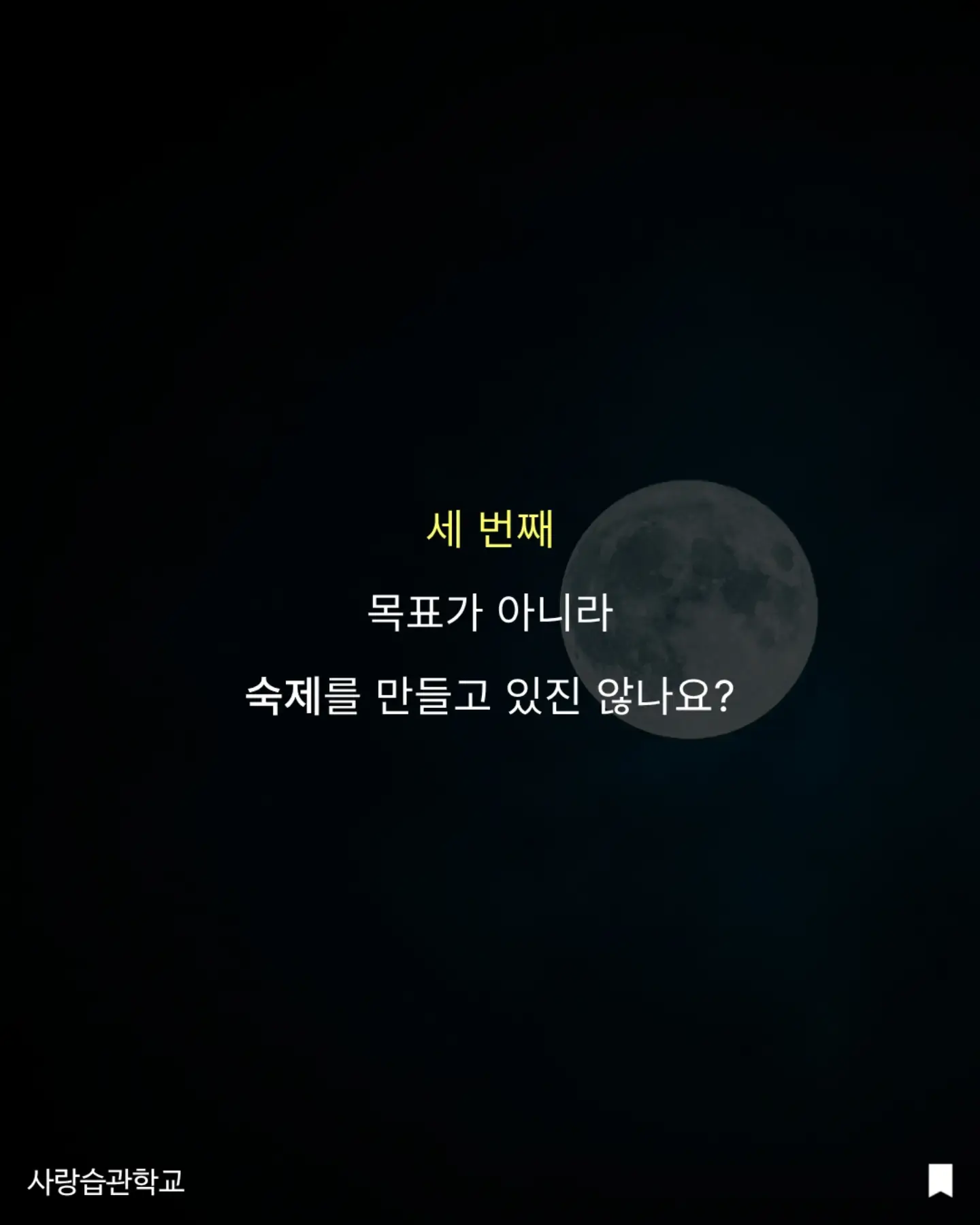 온도티 + 도뜨스커트 7