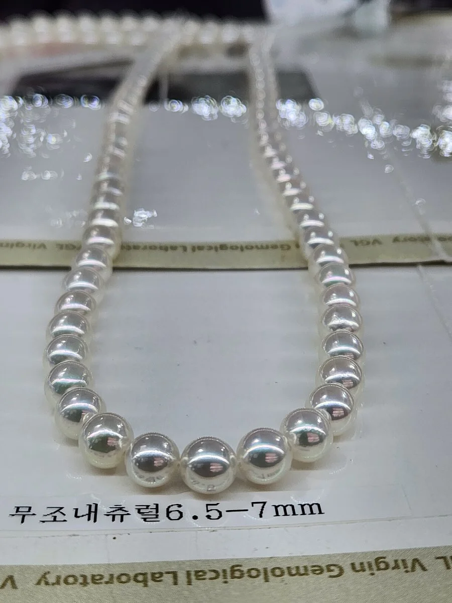 메디퍼피 강아지 근육 영양제 2
