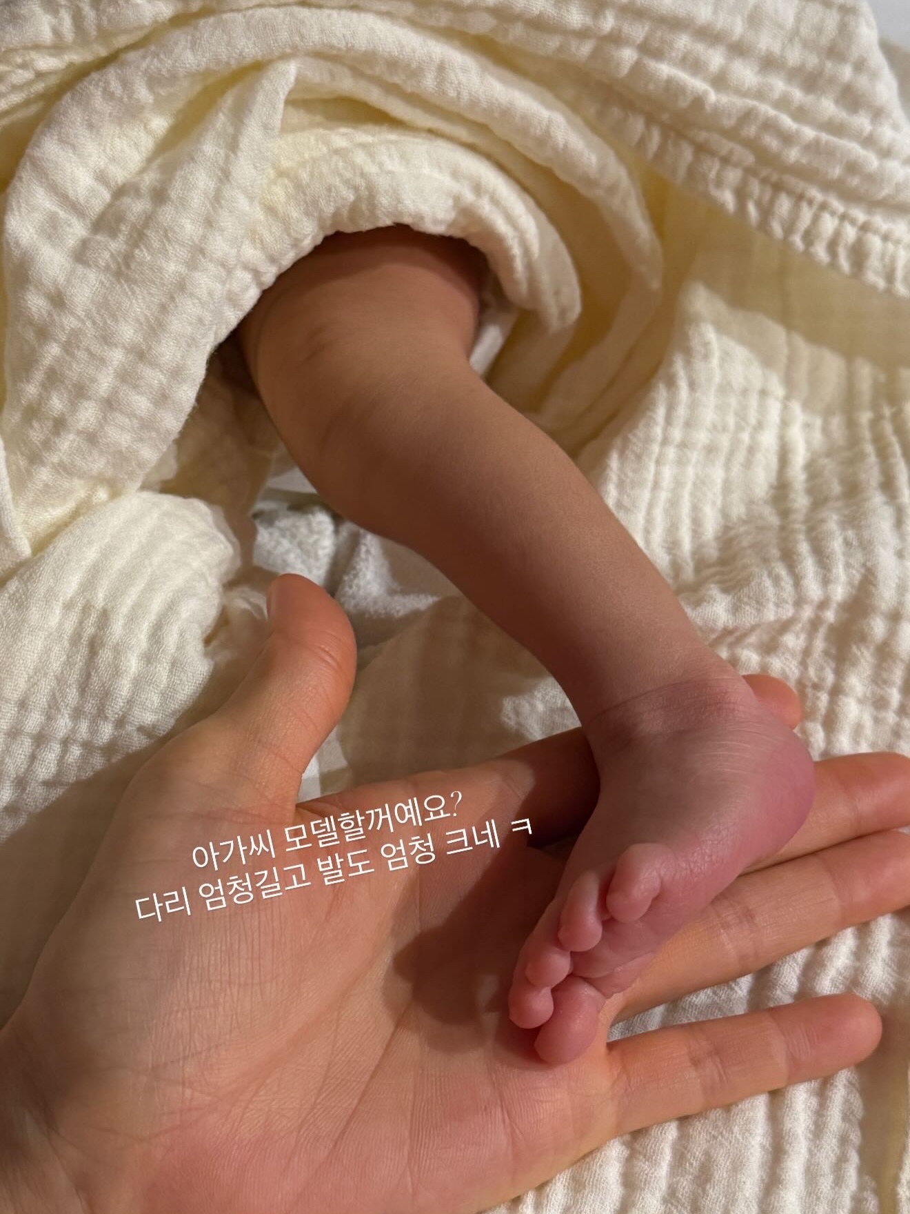 안토제놀 13