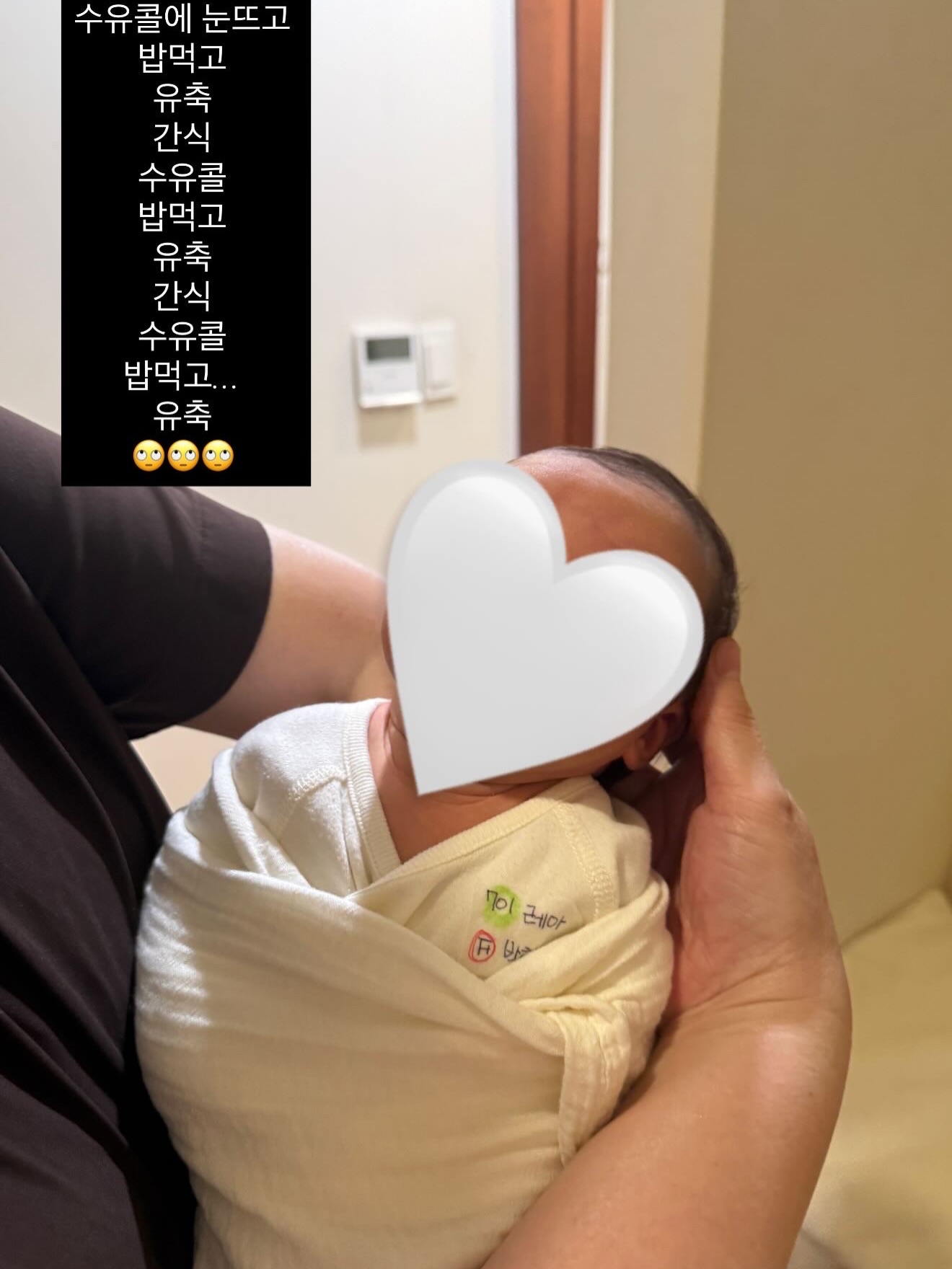 안토제놀 5